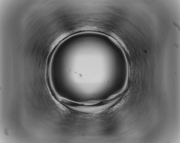 X0000095131245200712071300
