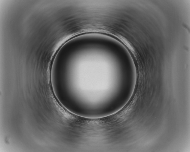 X0000095131246200712071300