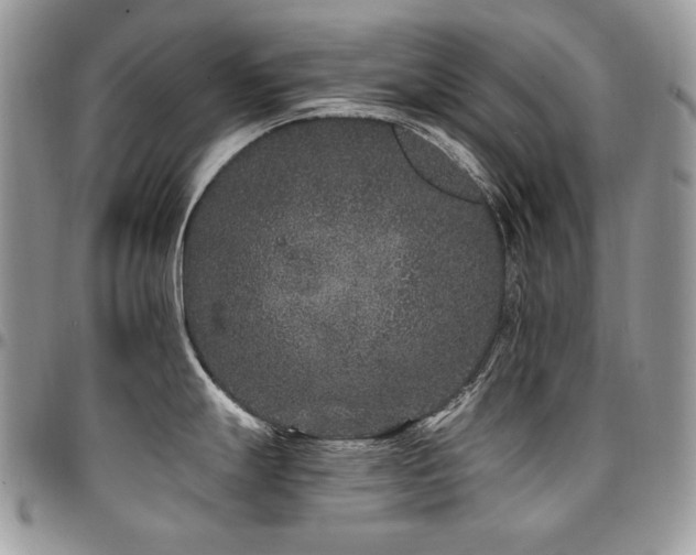 X0000095131247200712071300