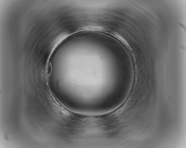 X0000095131248200712071300