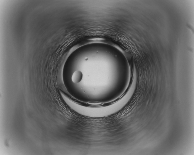 X0000095131249200712071259