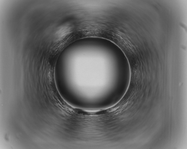 X0000095131250200712071259