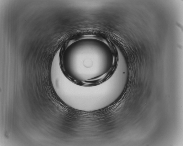X0000095131252200712071259