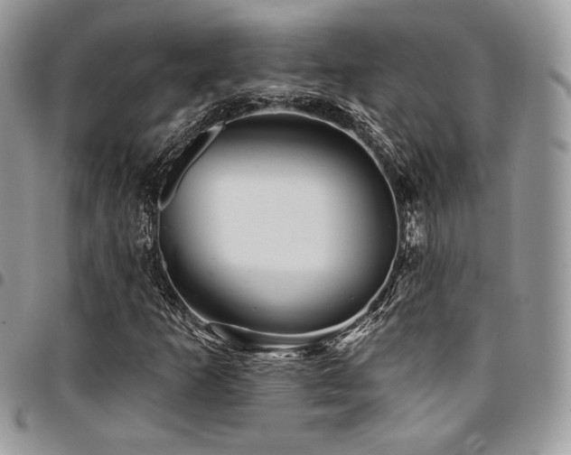 X0000095131253200712071259