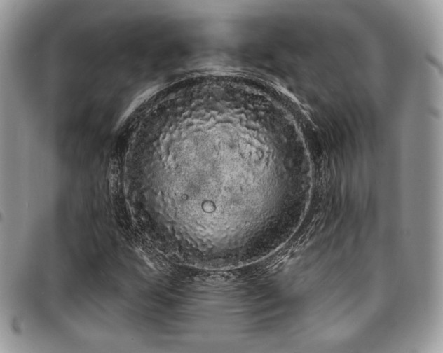 X0000095131255200712071259