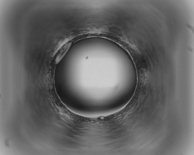 X0000095131256200712071259
