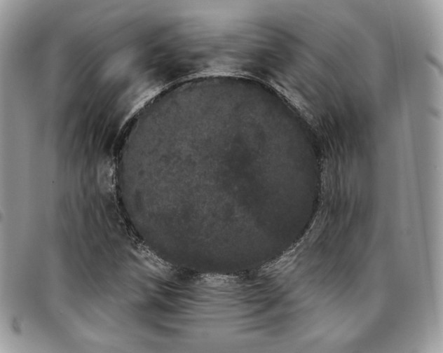 X0000095131258200712071259