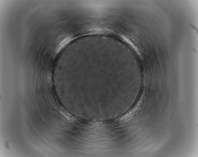 X0000095131259200712071259