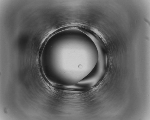 X0000095131260200712071259