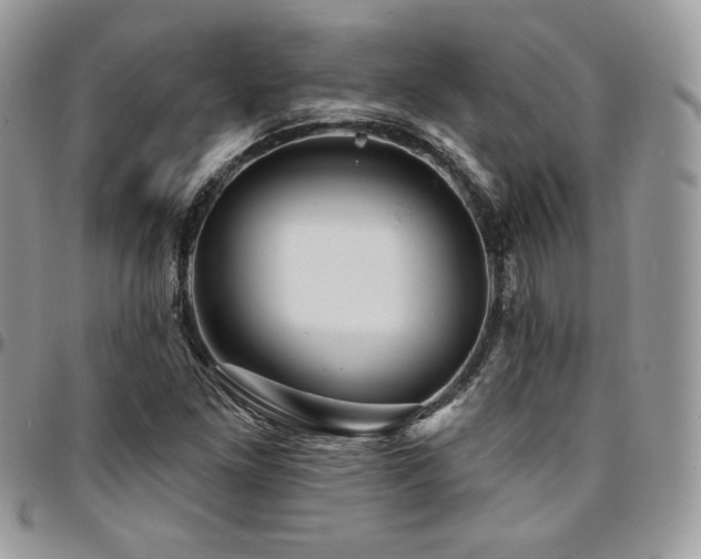 X0000095131261200712071259
