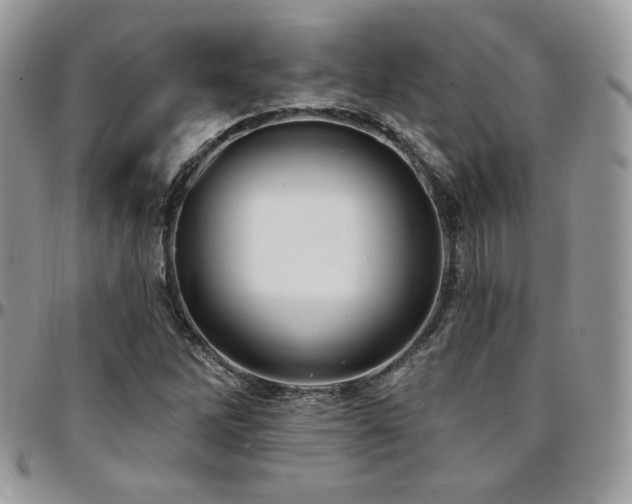 X0000095131262200712071259