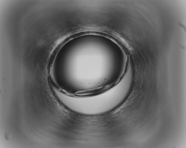 X0000095131264200712071259