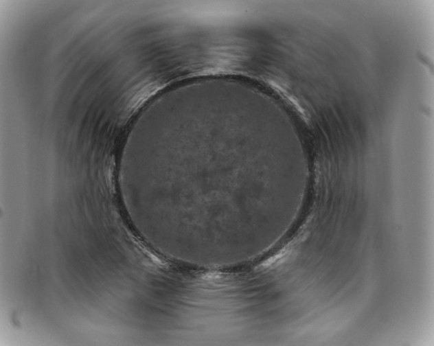 X0000095131265200712071259