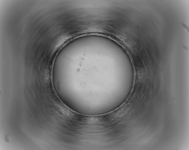 X0000095131266200712071259