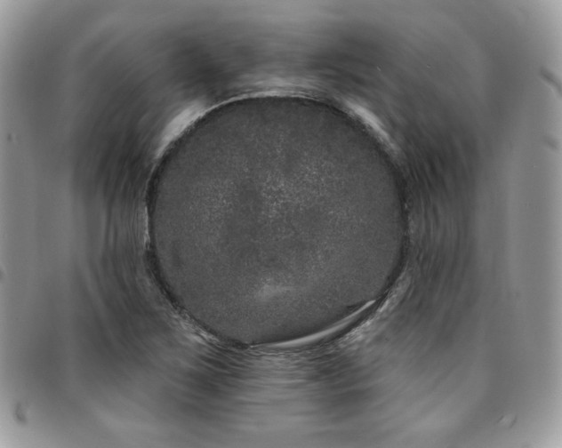 X0000095131267200712071259