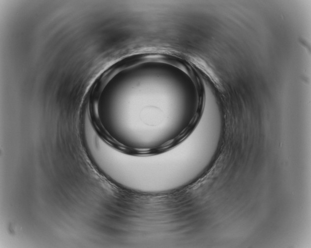 X0000095131268200712071259
