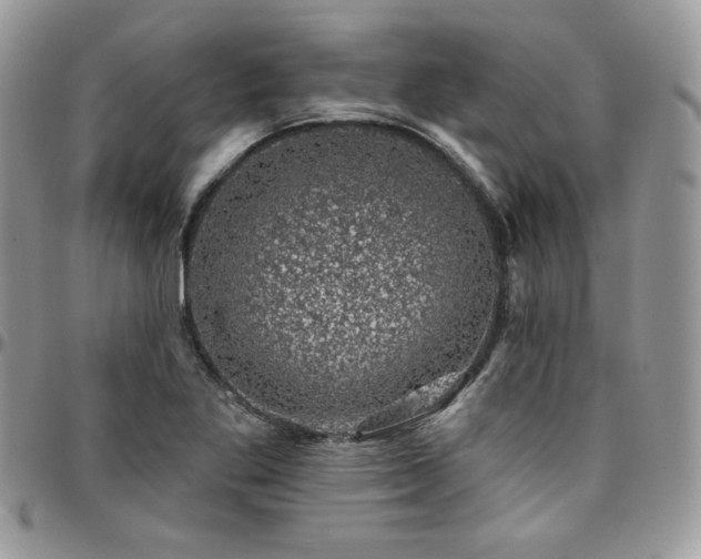 X0000095131269200712071259