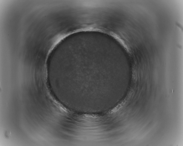 X0000095131270200712071259