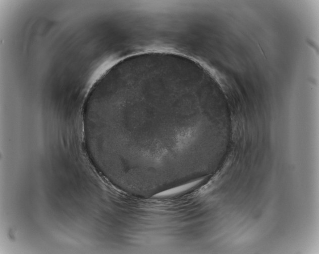 X0000095131271200712071259
