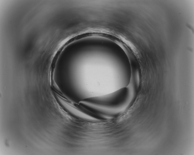 X0000095131272200712071259