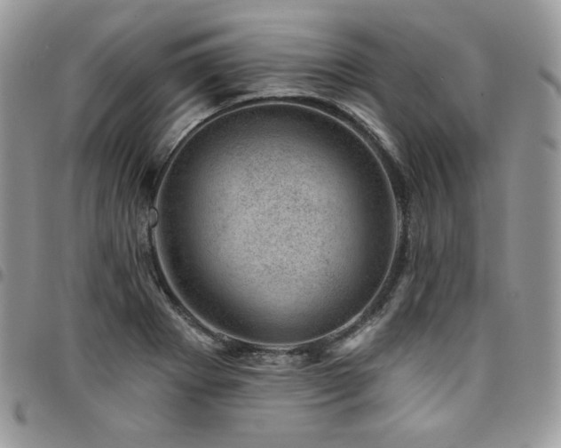 X0000095131273200712071259