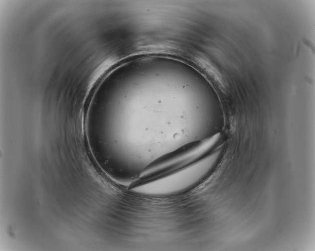 X0000095131275200712071259