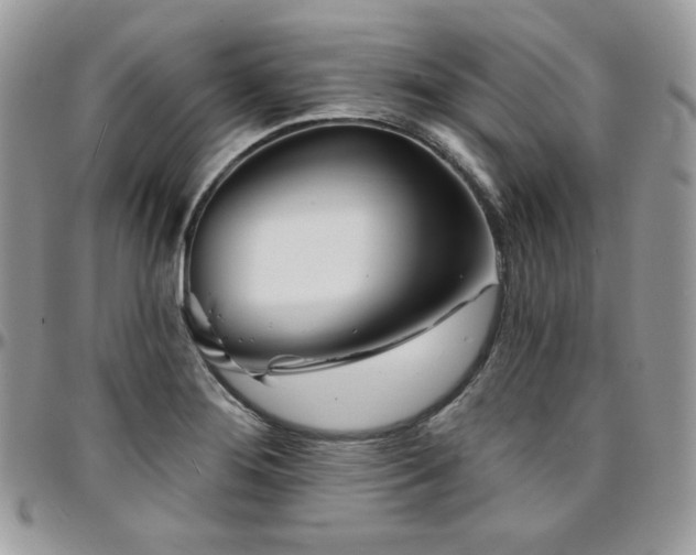 X0000095131276200712071259