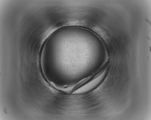X0000095131277200712071259