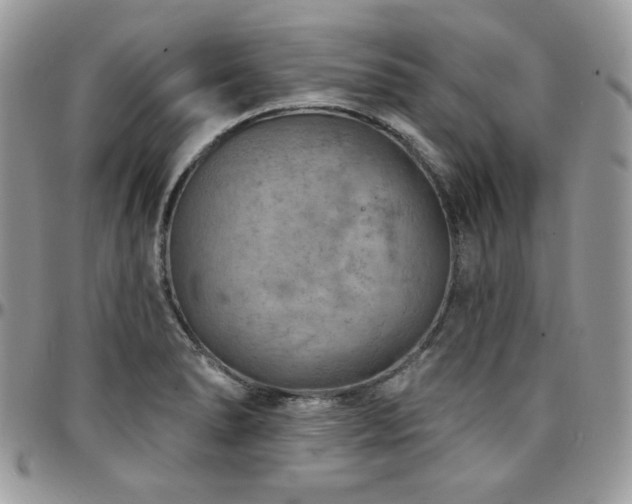 X0000095131278200712071259