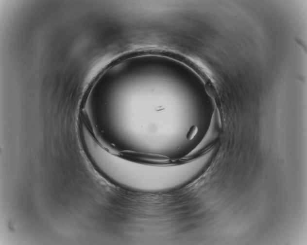 X0000095131279200712071259