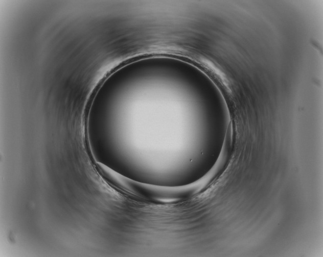 X0000095131280200712071259