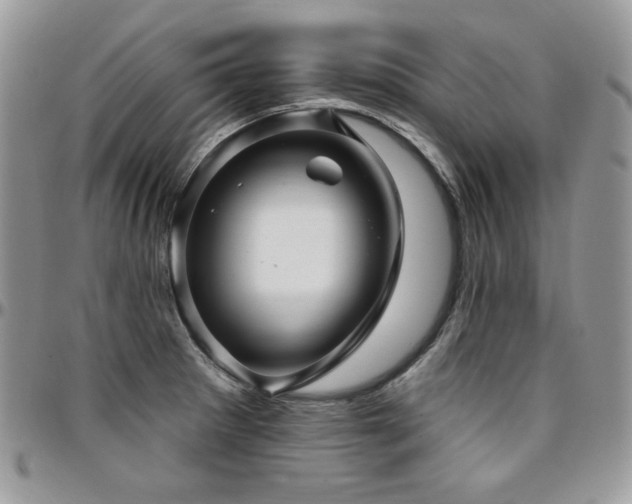 X0000095131281200712071259