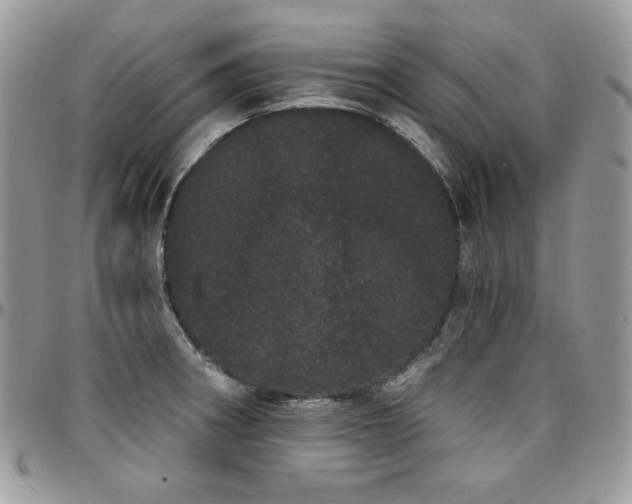X0000095131282200712071259