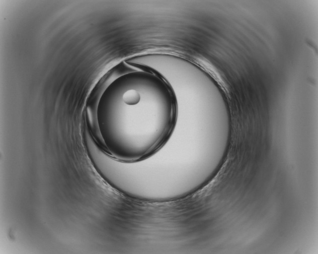 X0000095131284200712071259