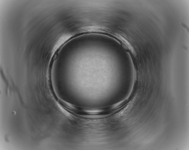 X0000095131285200712071259