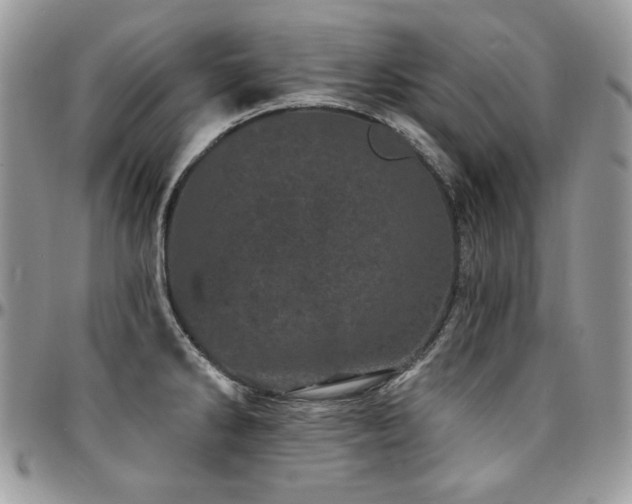 X0000095131286200712071259