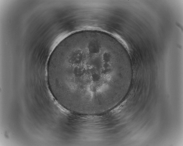 X0000095131287200712071259