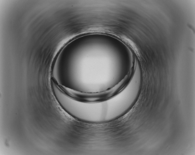 X0000095131288200712071259