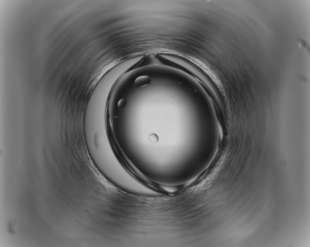 X0000095131289200712071259