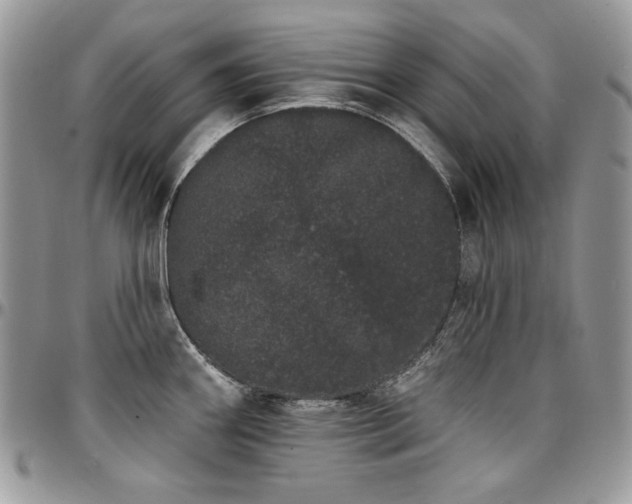 X0000095131290200712071259