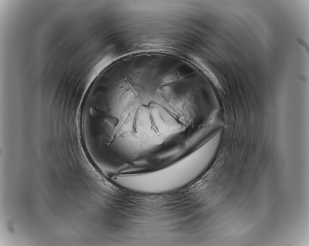 X0000095131291200712071259