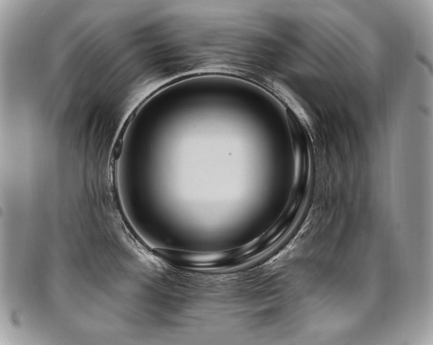 X0000095131292200712071259
