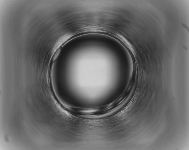 X0000095131293200712071259