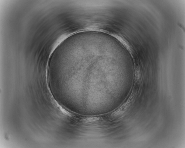 X0000095131294200712071259