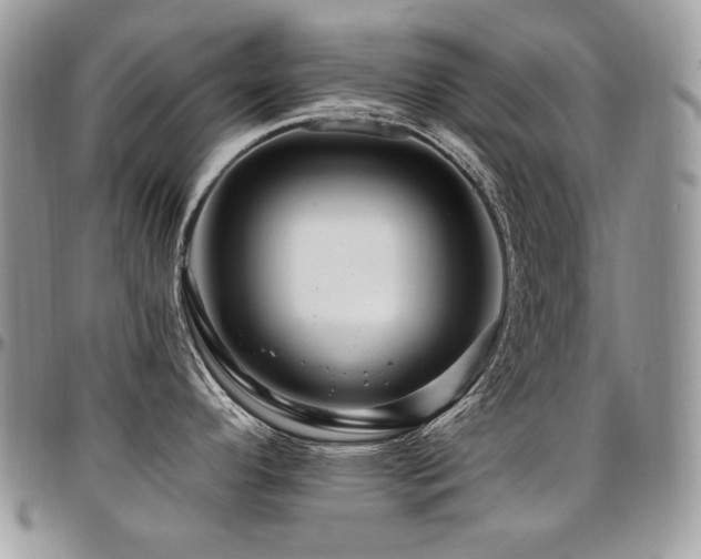 X0000095131296200712071259