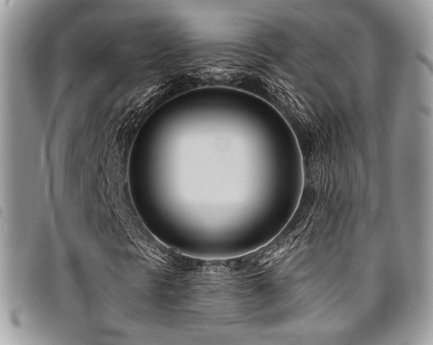 X0000095131297200712071258