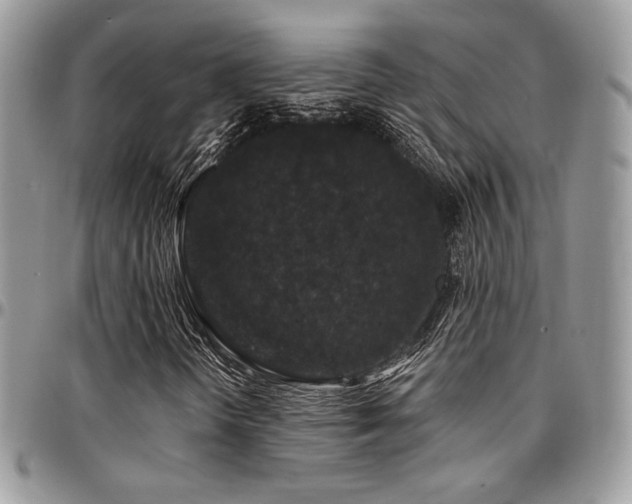 X0000095131298200712071258