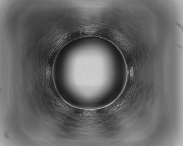 X0000095131299200712071258