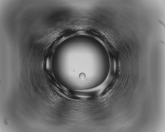 X0000095131300200712071258