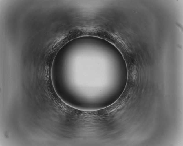 X0000095131301200712071258